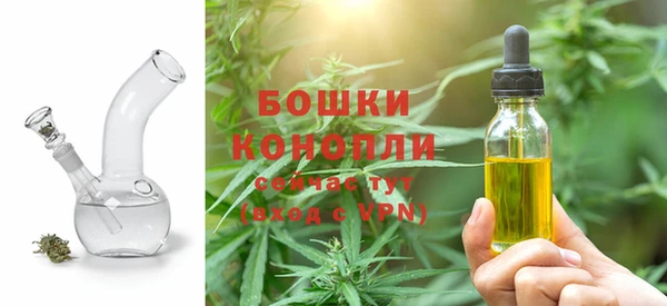 бошки Бронницы