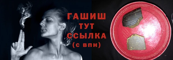 молекула духа Богданович