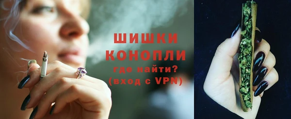 бошки Бронницы