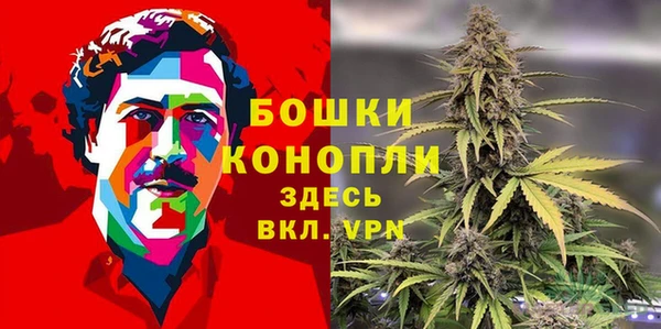 бошки Бронницы