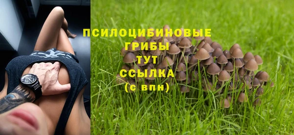 бошки Бронницы