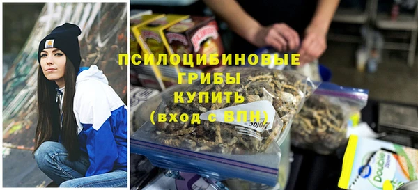 мдпв Верея