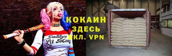 бошки Бронницы
