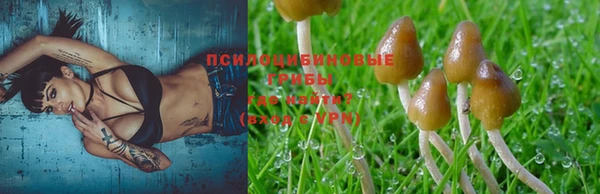 бошки Бронницы