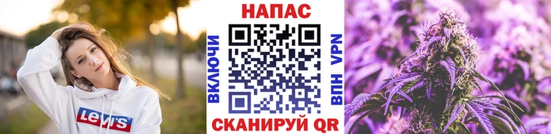 shop Telegram  магазин    Тбилисская  Шишки марихуана SATIVA & INDICA 